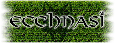 Ecchnasi Banner