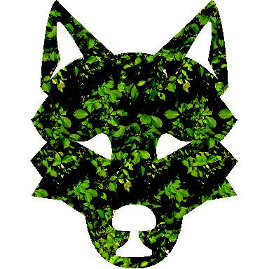 Ecchnasi Logo