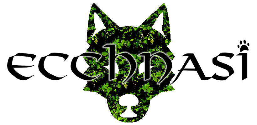 Ecchnasi Title